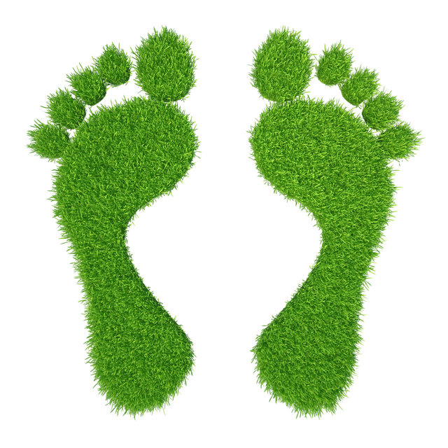 Footprints made from grass