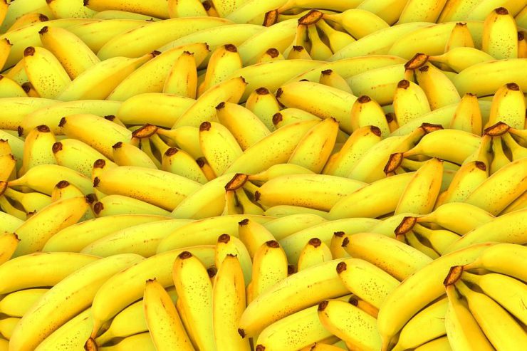 Lots of bananas