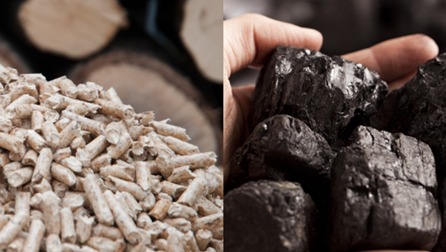 biomass and coal