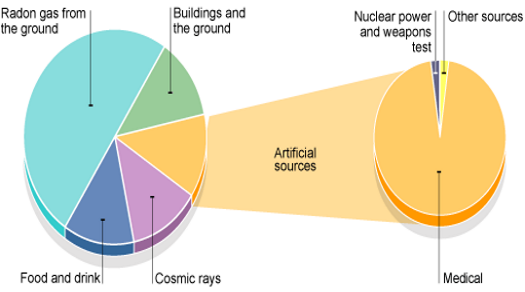 A diagram showing sources of everyday radiation.