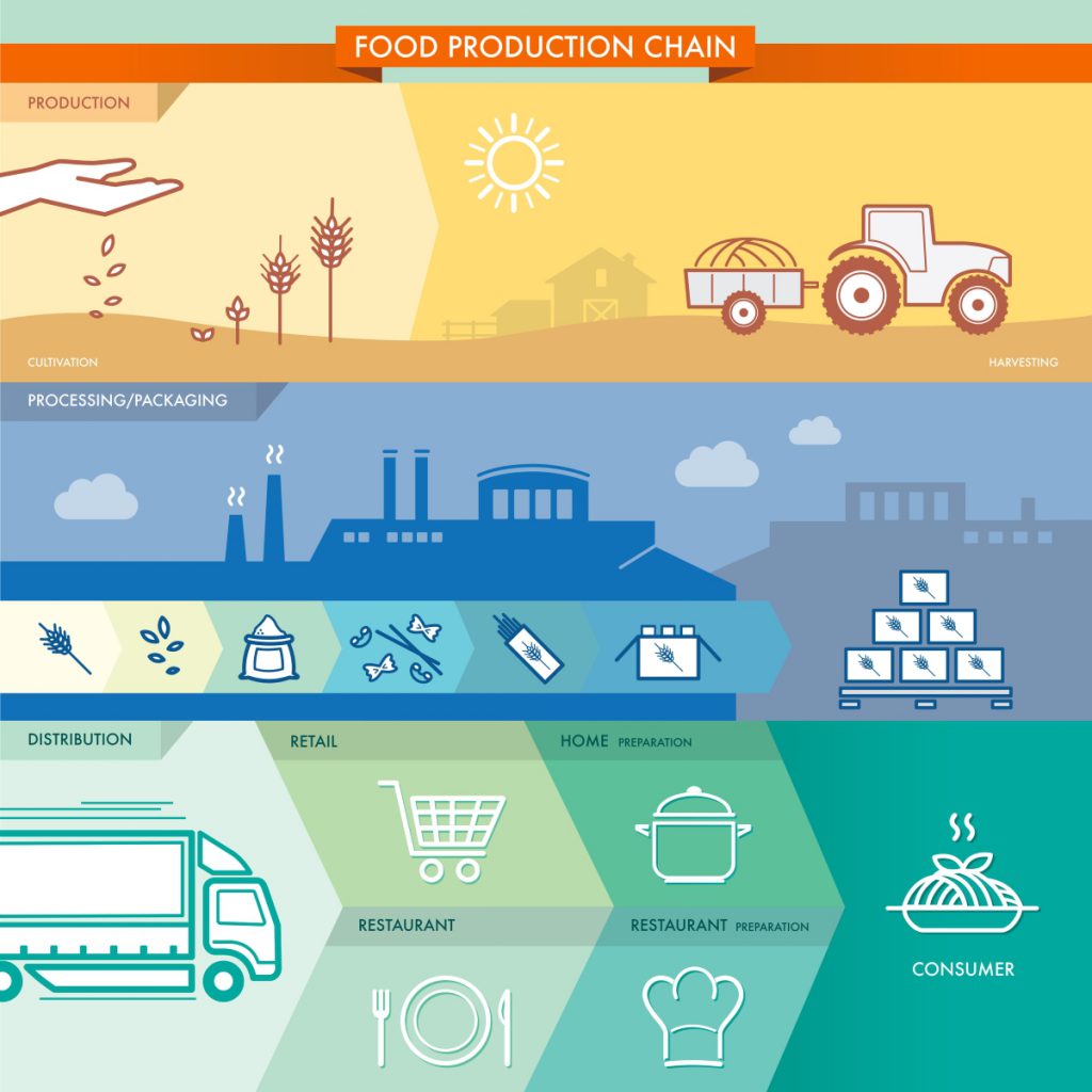 The Food Production Chain infographic