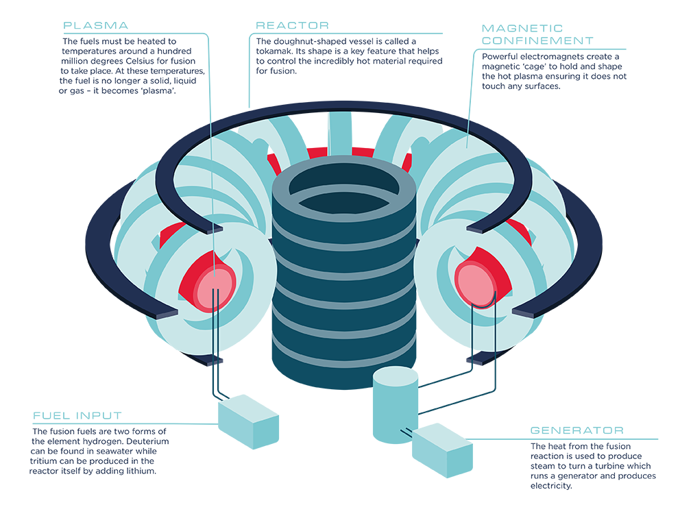 An infographic showing a tokomak reactor