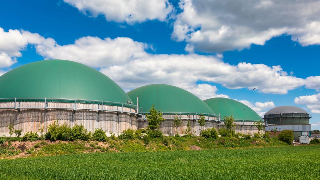 Dome-shaped structures in a field. Inside these anaerobic digesters, microorganisms break down organic material to produce gaseous biofuels.